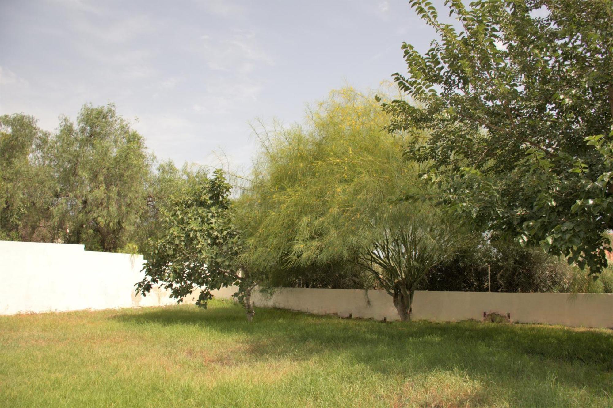 Kiwidestiny Alicante San Juan  Luaran gambar