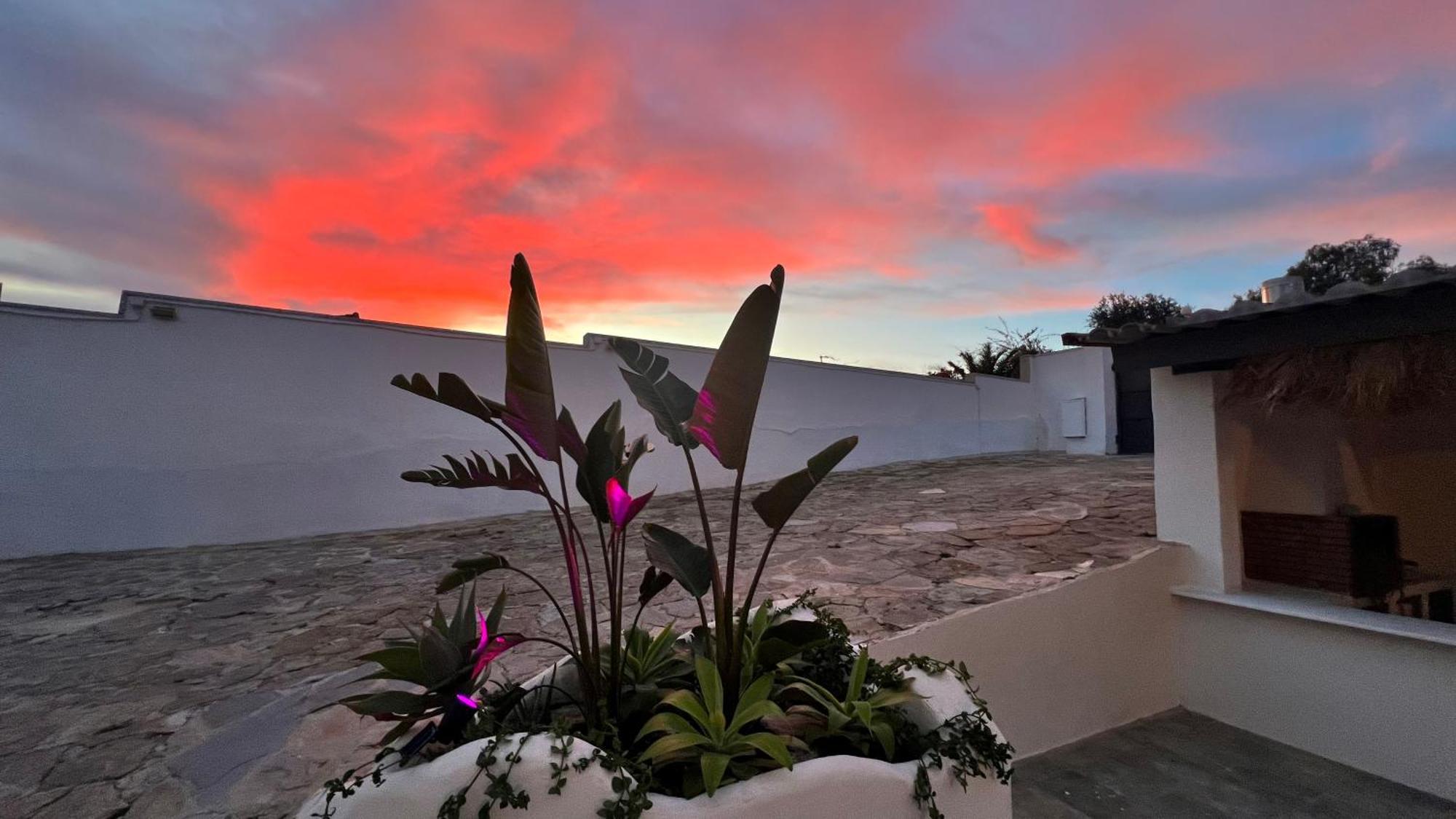 Kiwidestiny Alicante San Juan  Luaran gambar